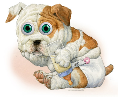 Baby Bulldog from Ten Little Puppies